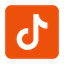 TikTok Logo